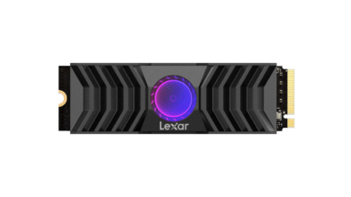 Lexar NM1090