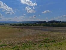 Nothing Phone 2a Plus