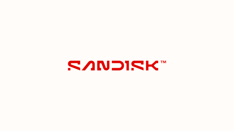 SabDisk