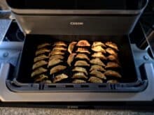 lesertest cosori twinfry