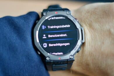 T-Rex 3 Einstellungen