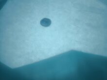 ... und trotzdem ist das Endergebnis überzeugend!