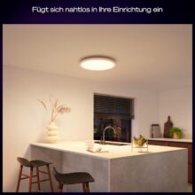 Philips hue devote