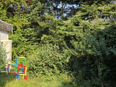 Samsung Galaxy Z Fold7