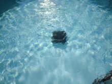 Bei der Säuberung gerät auch die Wasseroberfläche in Bewegung.